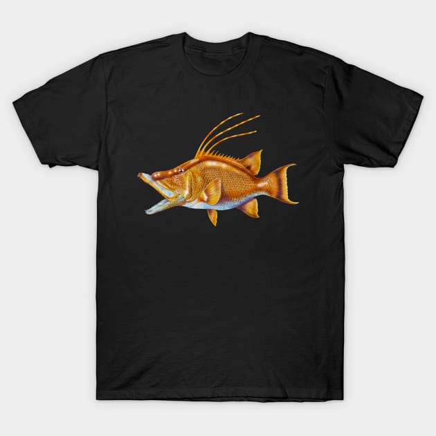 Hogfish T-Shirt by Tim Jeffs Art
